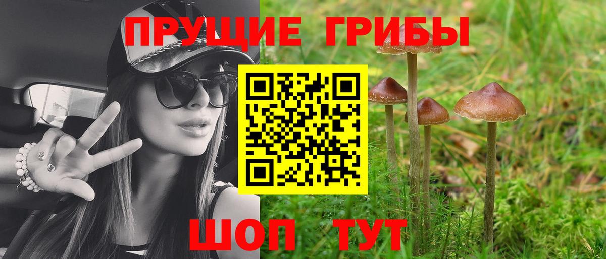 Псилоцибиновые грибы GOLDEN TEACHER  купить   Карталы  Вход с VPN 