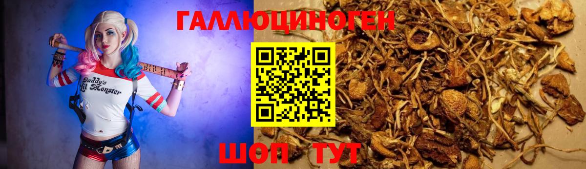 Псилоцибиновые грибы мицелий Карталы